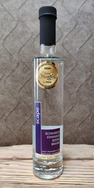 Schwarze Johannisbeere